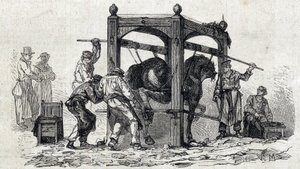 La scuola veterinaria nazionale di Alfort - Les grandes écoles de France - scuola veterinaria di Maison Alfort nel 1866 - la ferratura dei cavalli reticenti - Incisione in “Le Monde Illustré” del 1866 da French School