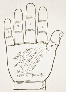 La Mano Destra, Linee Principali, copia di un