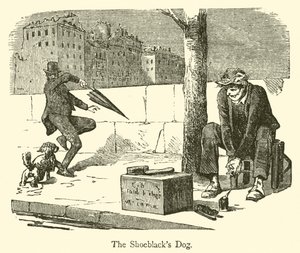 Il cane del lustrascarpe