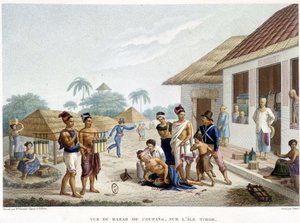 Il bazar di Coupang, isola di Timor da French School