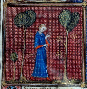 Il sogno, dettaglio: L