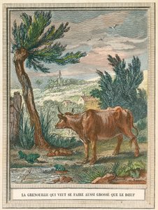 La rana che voleva essere grassa come il vitello
