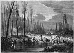 La pesca delle sanguisughe nei pressi di Versailles da French School