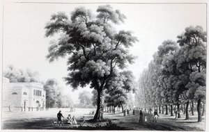 Il viale principale nel Prater, Vienna, 1821