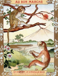 La scimmia e la noce (Favola di La Fontaine) - vignetta pubblicitaria del Bon Marché da French School