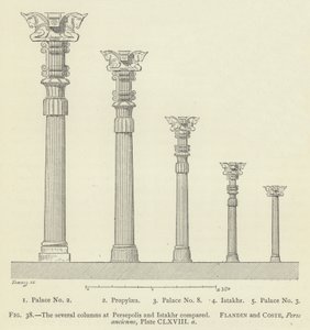 Le diverse colonne a Persepoli e Istakhr a confronto da French School