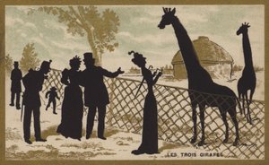 Le tre giraffe