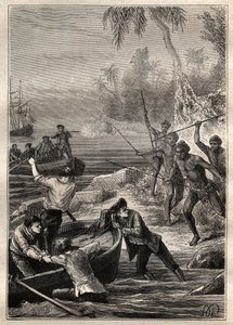 Erano così vicini...: Il viaggio del capitano James Cook (1728-1779) in Nuova Zelanda nel 1769 - i nativi della Nuova Zelanda attaccano l