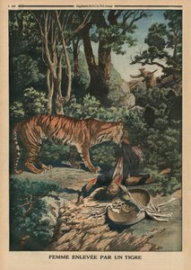 Tigre che attacca una donna, illustrazione di copertina da 