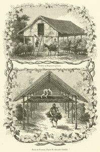 Tilembar o bachicoltura persiana da French School
