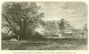 Tombe di mistress Livingstone e di Kirkpatrick sotto un baobab, a Shoupanga House da French School