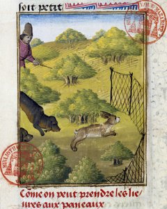 Trappola per lepre e cani da caccia - nel "Libro di Caccia di Gaston Phoebus, Conte di Foix, Signore di Béarn"