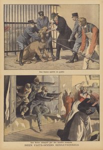 Due notizie sensazionali (litografia a colori)