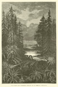 Una foresta nei primi secoli del periodo cretaceo da French School
