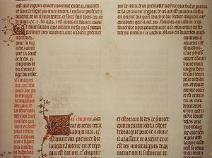 Pagina incompleta, da 