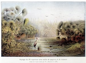 Passaggio del Nilo Superiore con papiro e canneto. da French School
