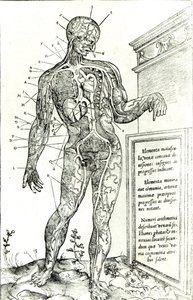 Sistema vascolare secondo Charles Etienne, da De dissectione partium corporis humani libri tres, 1545 da French School