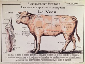 Vitello: diagramma che raffigura i diversi tagli di carne
