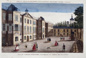 Veduta del gabinetto di storia naturale al Jardin des Plantes di Parigi da French School