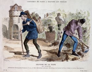 Coltivazione della vite nel XV secolo - in “Costume di Parigi attraverso i secoli”