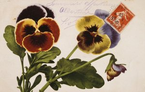 Cartolina francese vintage con decorazioni floreali da French School