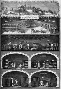 Viticoltura: vista delle cantine di champagne nei sotterranei del vecchio castello degli arcivescovi di Reims, Marna (51) da French School