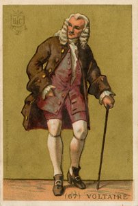 Voltaire da French School