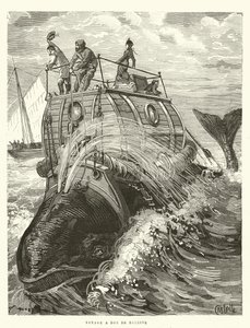 Viaggio a Dos de Baleine (incisione) da French School