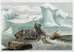 Caccia al tricheco - in "Le monde de la mer" di Alfred Fredol, Hachette, Parigi da French School
