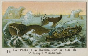 Caccia alla balena al largo della costa del Sud America da French School