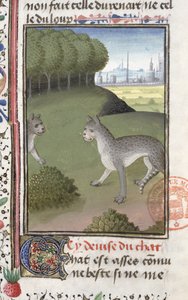 Gatti selvatici, dal Livre de la Chasse di Gaston Phebus de Foix (1331-91)