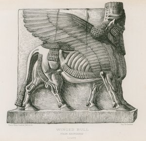 Toro alato, da Khorsabad, Louvre