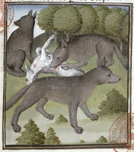 Lupi, dal Livre de la Chasse di Gaston Phebus