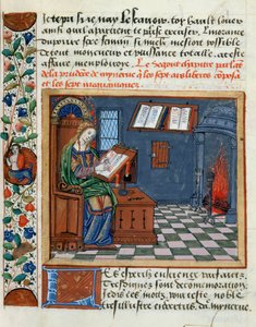 Donna che illumina il Libro dei Prudenti e degli Imprudenti di Catherine d