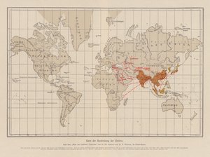 Mappa del mondo che mostra la diffusione del colera da French School
