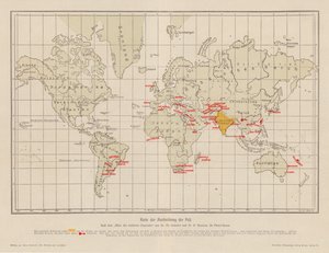 Mappa del mondo che mostra la diffusione della peste da French School