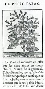 Le Perit Tabac, illustrazione da Discours du Tabac di Jean Le Royer de Prade, 1671