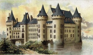 vista del castello di Sully (Loiret)