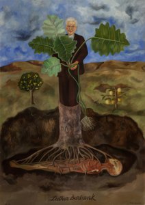 Ritratto di Luther Burbank da Frida Kahlo