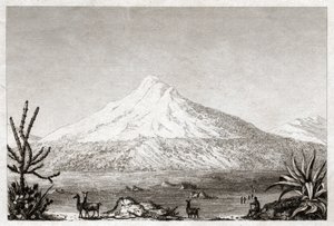 Vulcano Chimborazo da Friedrich Alexander Baron von (after) Humboldt