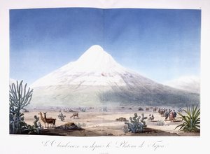 Le Chimborazo visto dal Plateau de Tapia da Friedrich Alexander Baron von (after) Humboldt
