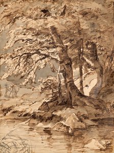 Studio di albero da Friedrich August Mathias Gauermann