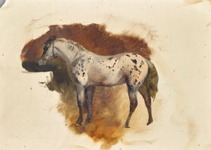 Cavallo pezzato da Friedrich August Mathias Gauermann