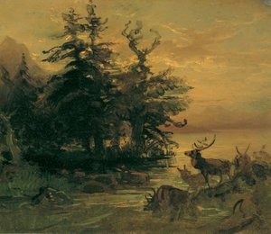 Cervi che si abbeverano sulla riva di un lago di montagna da Friedrich August Mathias Gauermann