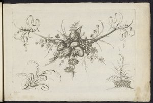 Festone di frutti, foglie e fiori (serie: Unterschidliche neue Feston von Blumen und Früchten)