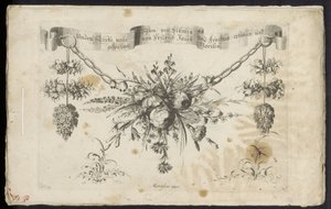 Diversi nuovi festoni di fiori e frutti da Friedrich Jacob Morisson