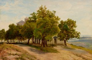 Gruppo di alberi sul Kahlenberg con vista su Vienna