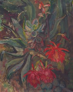 Cactus in fiore da Friedrich Radler