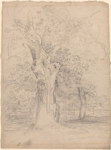 Albero antico con figure in un paesaggio