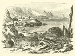 Pesca da Friedrich Specht